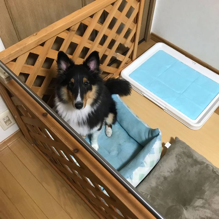 1b4b959e 44b6 43f8 b65f b8662c69ed29 1541198605859