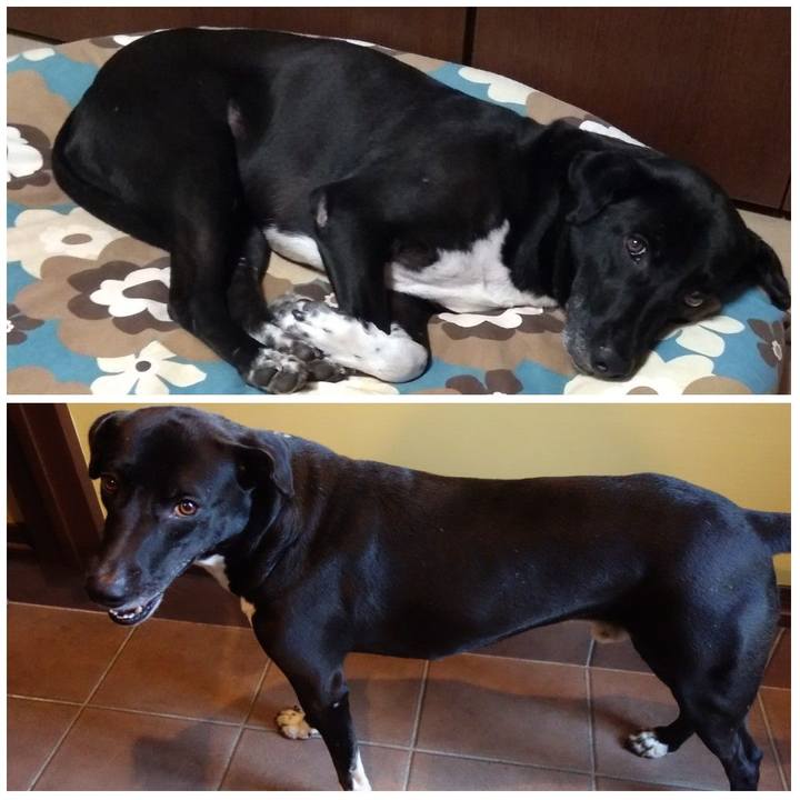 1b4bb414 3727 4afd be72 ef86380bea65 1623198931742