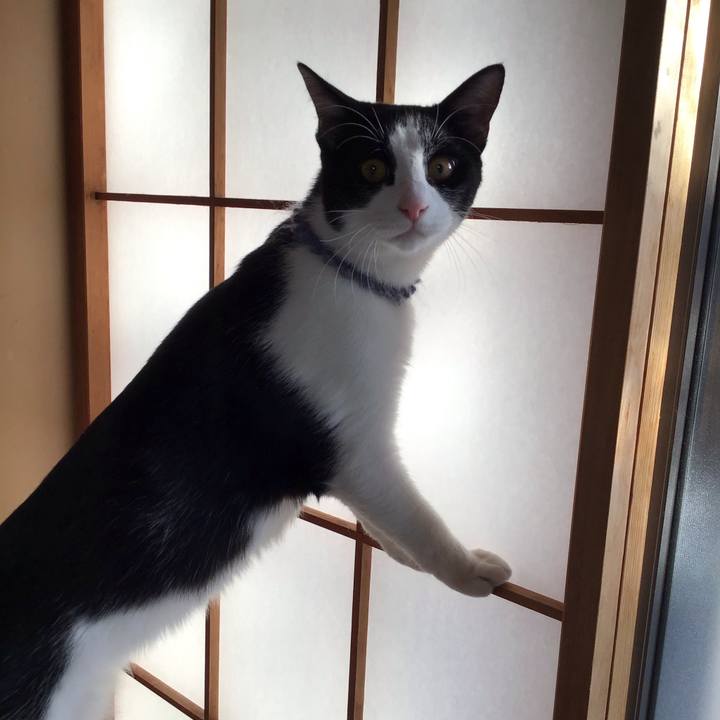 1b4bce9b 382a 478d 9315 d683839cf2e5 1641080794481