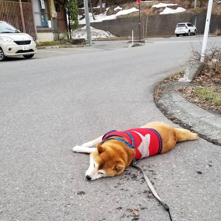 1b4bd193 750a 454e b944 b9ec408ebf8e 1552791794889