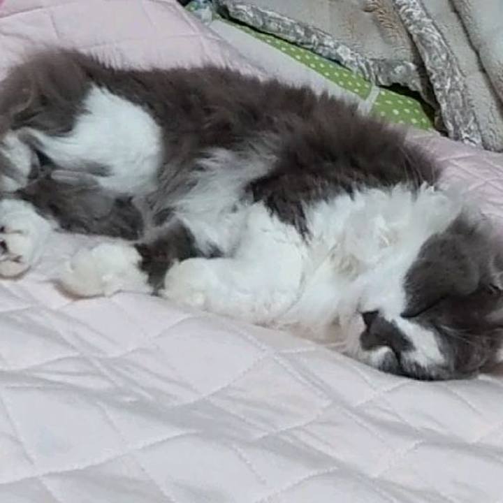 1b4bdc75 a8b0 4e18 a44f fd7d4e667c33 1623491080238