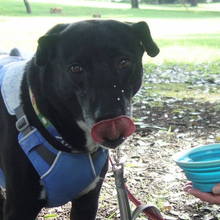 1b4bdcac efb2 4619 86c8 65dbd642e2e0 1692663914995