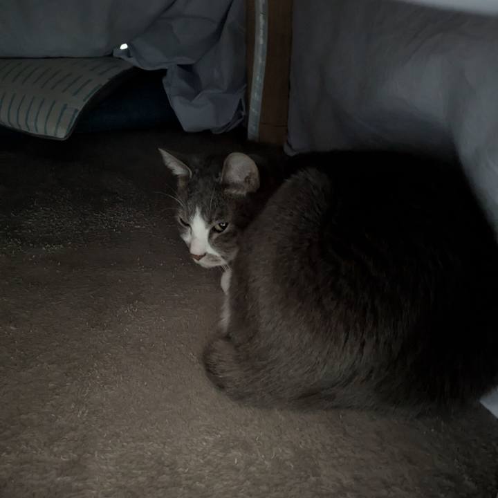 1b4c1a2a 0d03 4f5d aeed 7bac8a88b590 1769825763166