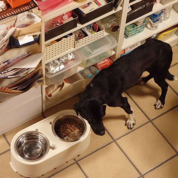 1b4c1d29 a748 4881 b009 109444f82f4d 1581552982311