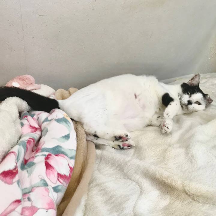 1b4c40d1 576c 4188 973d c77e37ae920b 1745938806140