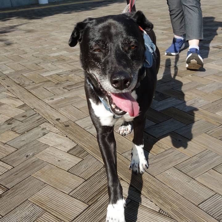 1b4c48c9 4205 440a b2c8 a0b055360544 1719016429829