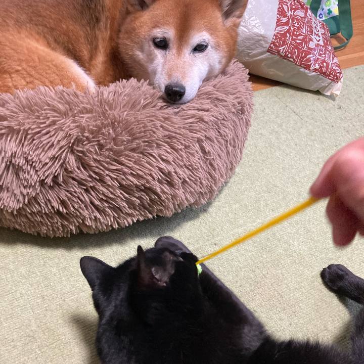 1b4c4e84 211e 46e1 8c0b c9b1691d94e8 1683622870960