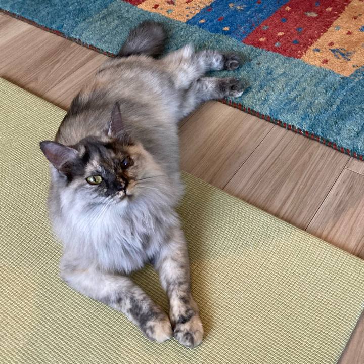 1b4c4feb e52a 421f 8166 345d788f0d38 1734321038796