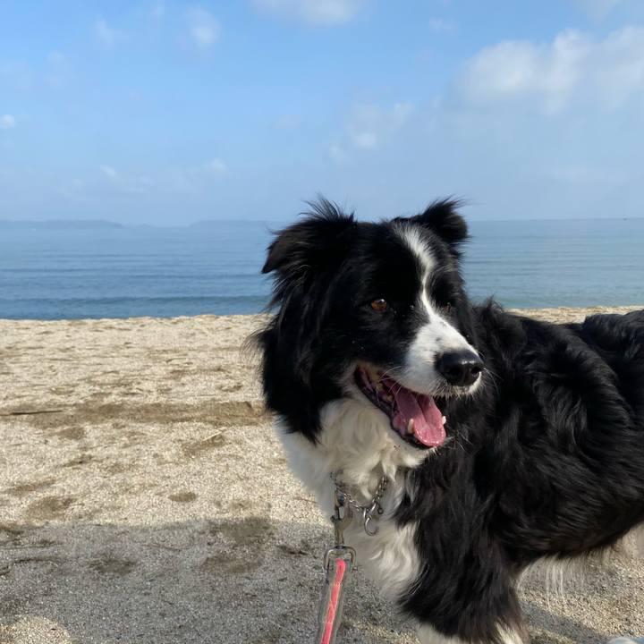 1b4c549b 8cba 4434 ad77 05fdae7eac8d 1711949921302