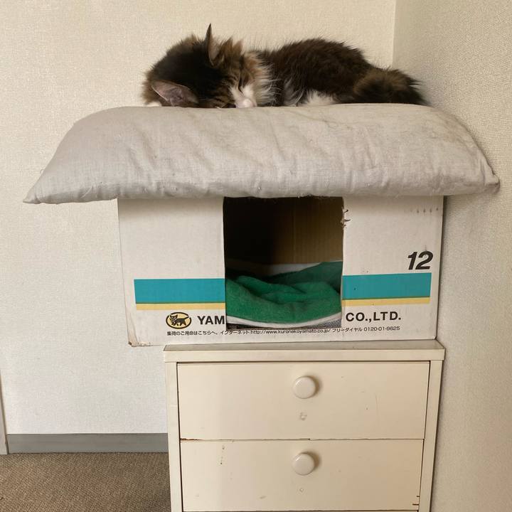 1b4c5dc1 fbe9 43e5 8bfa ab55ce510ae0 1672268030247