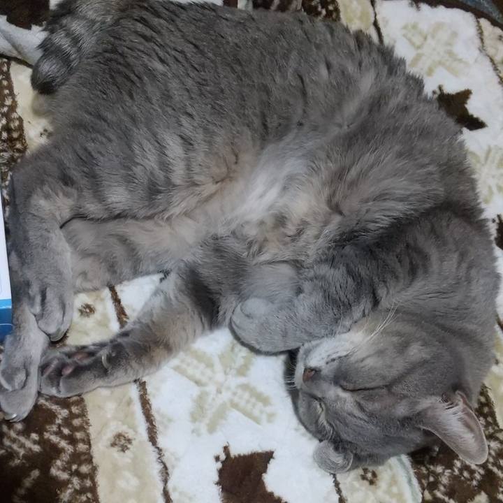 1b4c676b 4a52 493c b218 52c35814ecd7 1669725222224