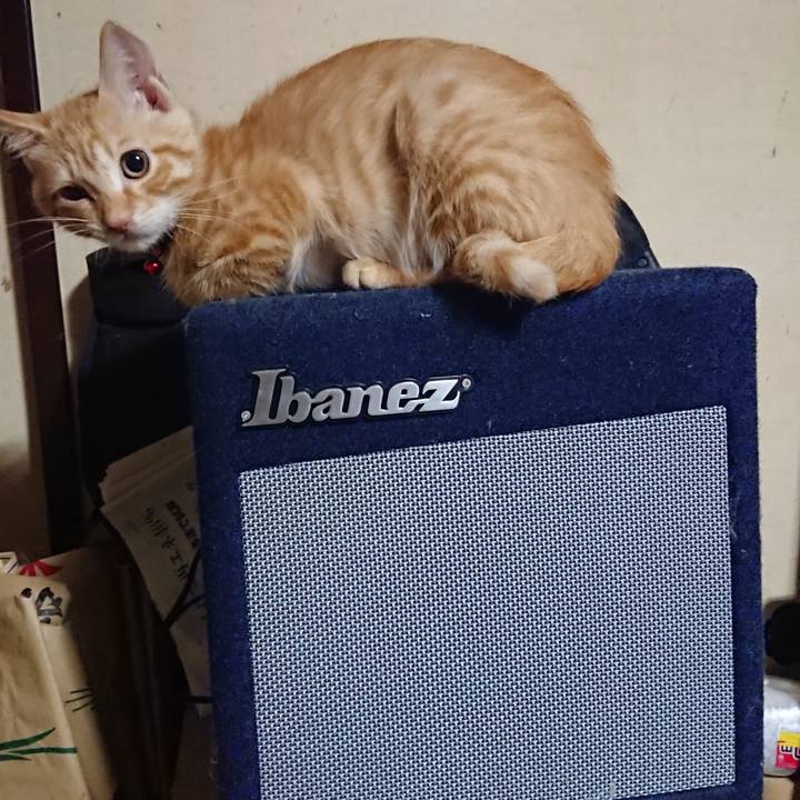 1b4c67bb 50fc 4c6d 86e0 700476248a00 1632054049448