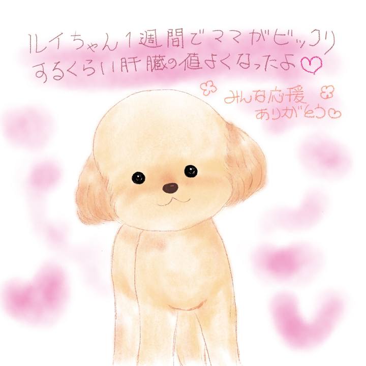 1b4c7ce7 ab72 43e2 8ee9 7da5e5562979 1626259351494