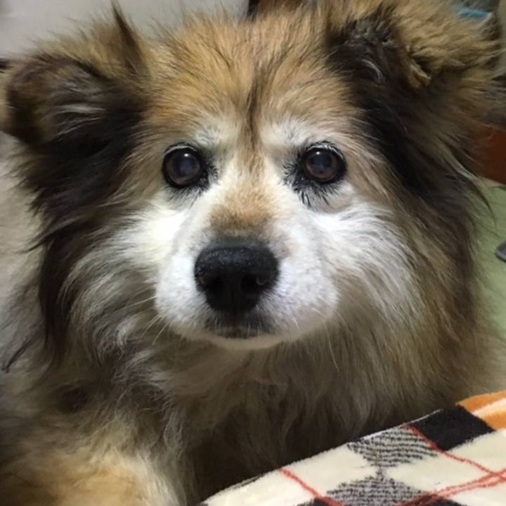 1b4c8ec3 4fea 4687 8f81 058e1cdb6682 1554855446144