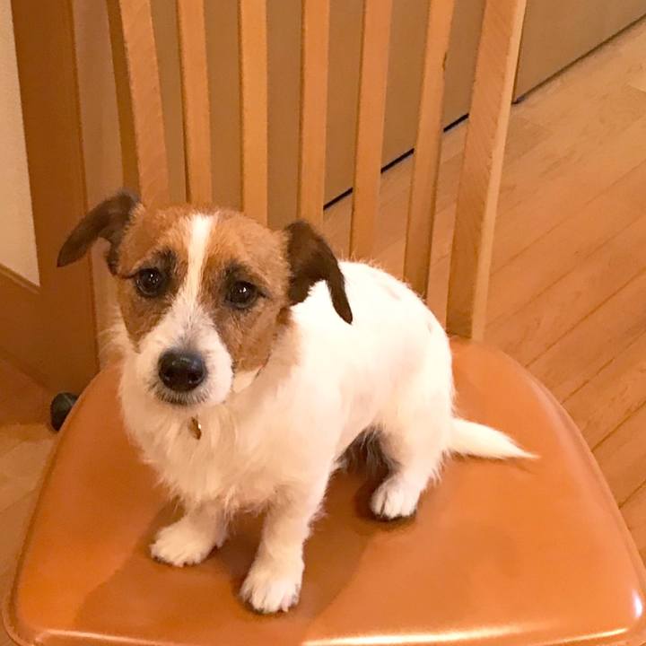 1b4ca0aa a81d 4771 8a69 74a2710edfa3 1509279154744