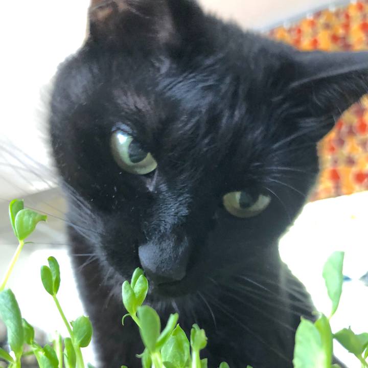 1b4cc67c c4cd 4ab8 88cd 130c19864865 1518658101119