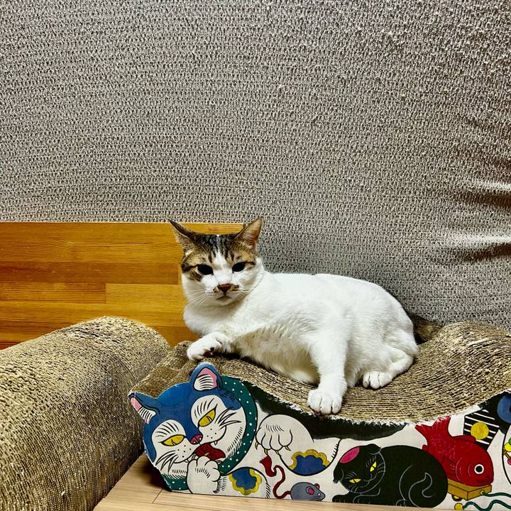 1b4cdc32 a5fb 4404 ba6a 75503cfe63a3 1755554897430