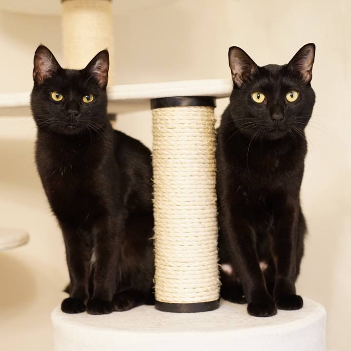 1b4d1fb5 e629 48c6 87ac 77727ec2d07c 1520328032748