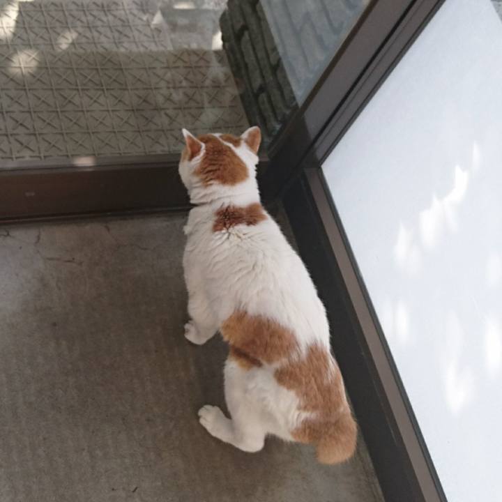 1b4d20c9 b815 485c a3d8 fafdcc400dd9 1539946393984