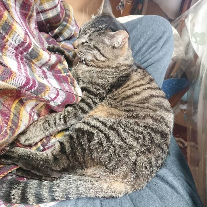 1b4d218d 1f6d 49aa 892f 2c3c0e4c90be 1650247281546