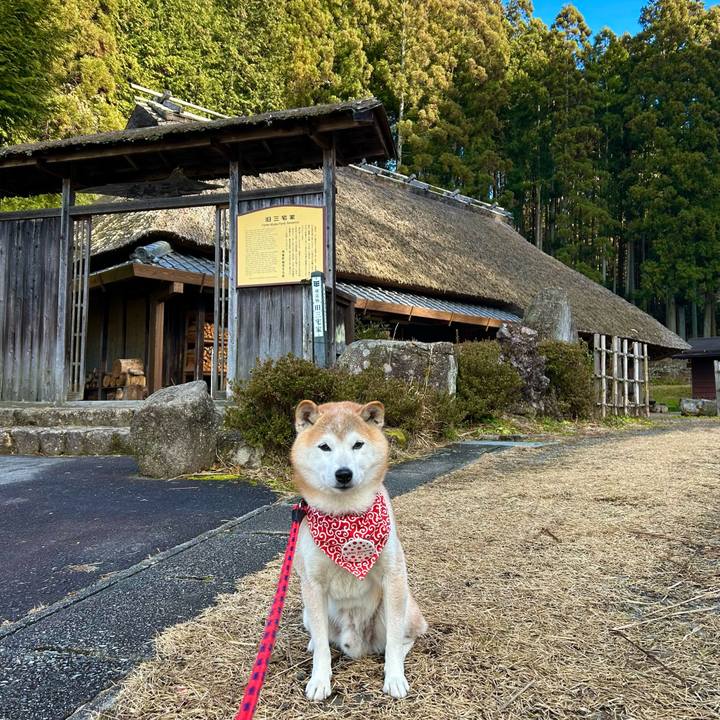 1b4d2ed5 48c7 459a 8888 fabee7358266 1736759971867