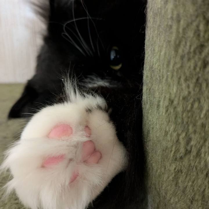 1b4d493c 5904 4988 9d1d 9e1305e5c1df 1735343865354