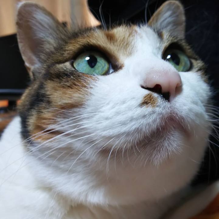 1b4d54c6 40b1 4bfd b756 b8701eae39d3 1559349384597