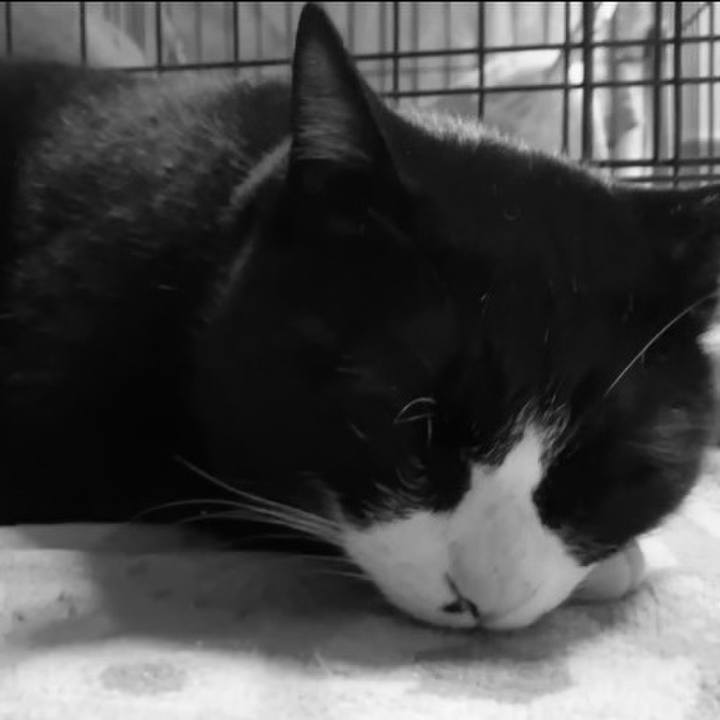 1b4d8db6 5299 443a 852d bc3ba58afe55 1740821340614