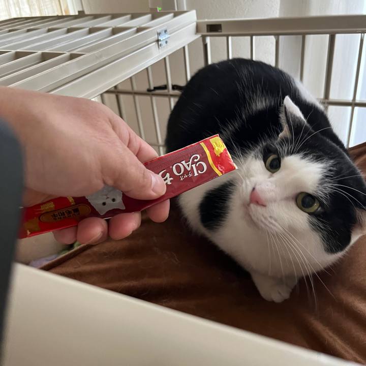 1b4dab33 cfec 4a76 a1d4 9808ee4603a6 1773538402110