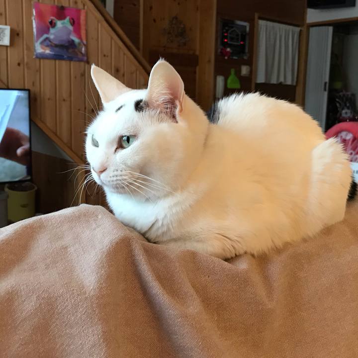 1b4db0c3 eec7 4206 83ac 8b8bd2cd17bb 1611961525315