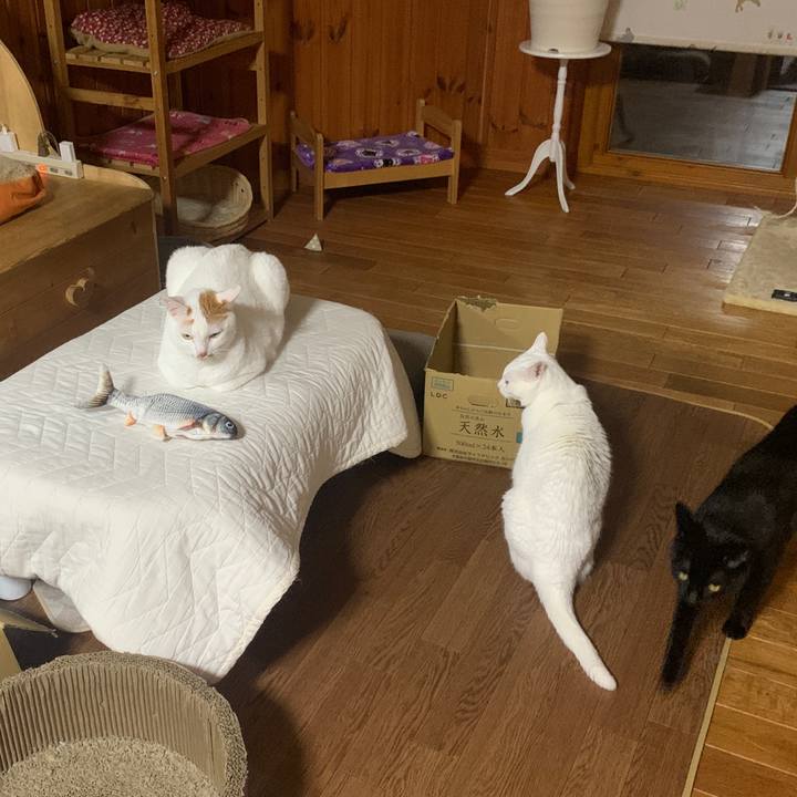 1b4db1e5 619c 448f a9ee 0c1a6a49f6e4 1652449683957