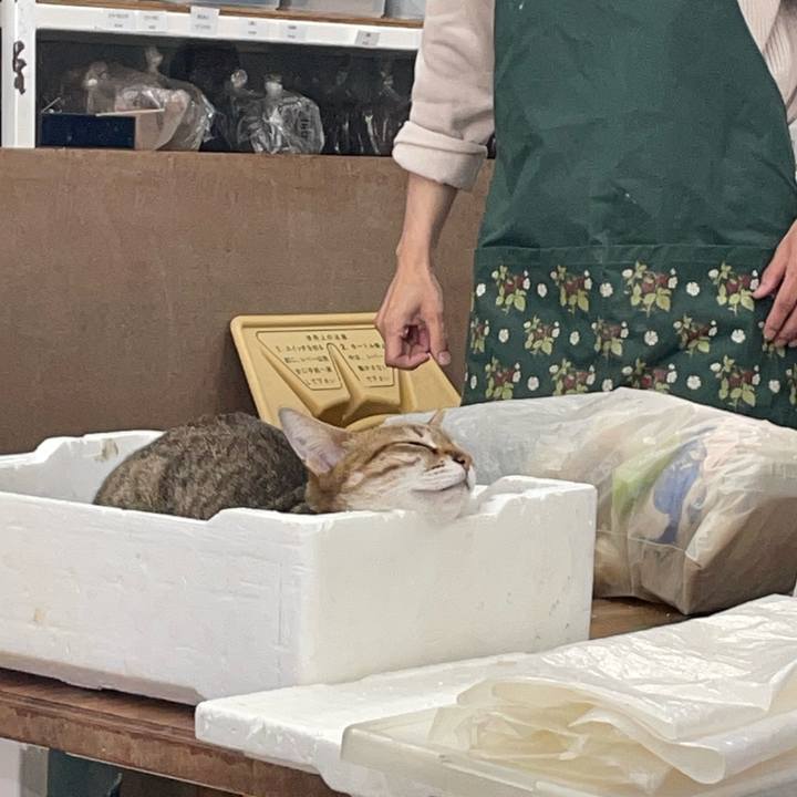 1b4ddba7 014b 431d 9713 be008ef0d047 1680954050043