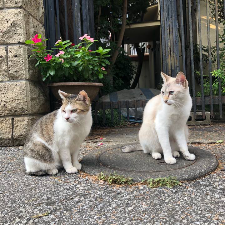 1b4e069f ad78 478f bb21 ec1932750567 1567174914958