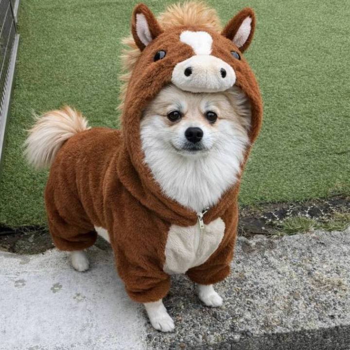 1b4e092a d9b3 4a91 a496 95fc41e07661 1767223376578