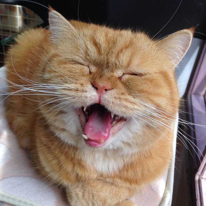 1b4e2d4b c5c3 4893 aa0d 652b6ff0ad51 1556064007045