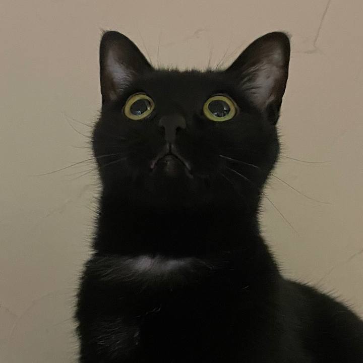 1b4e63cc 071e 4ecb bfc7 5b564ea48cf9 1646213162614