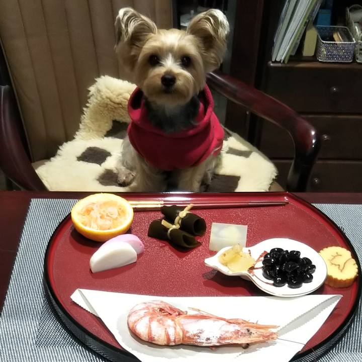 1b4e6c39 73e3 4579 9481 ba0cac723a46 1577852290557