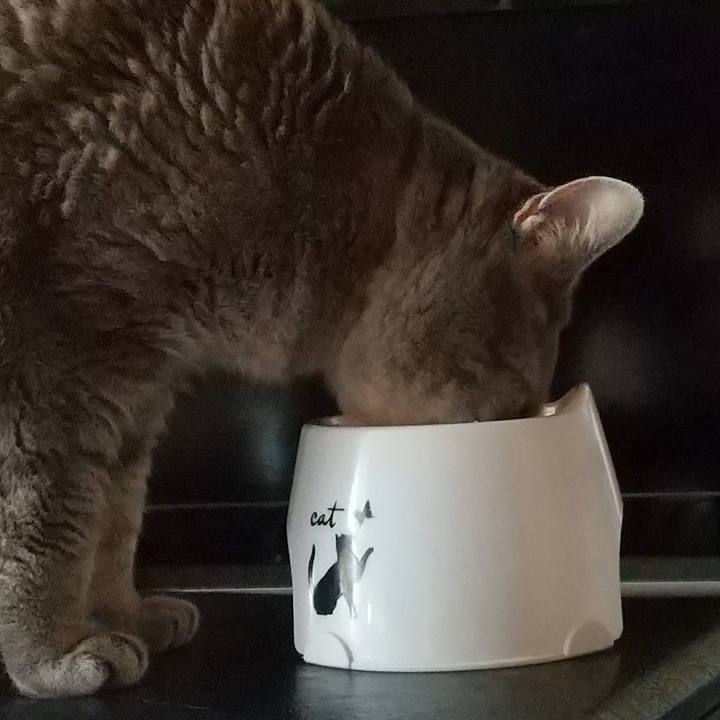 1b4e7c04 7bbe 45ae 9db0 8075f6d8893f 1660860222167