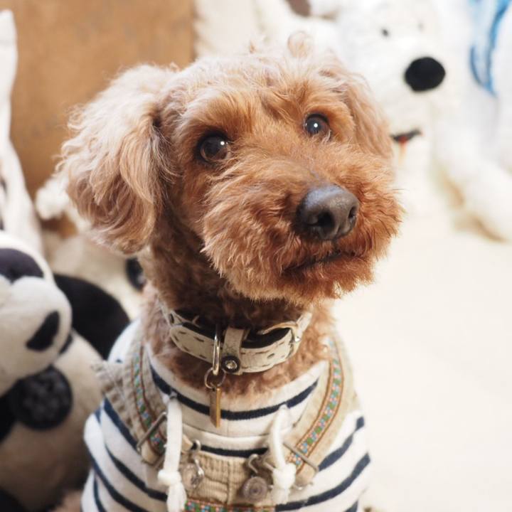 1b4e9fed e6fc 47f3 9a49 925cdf01302a 1552257811637