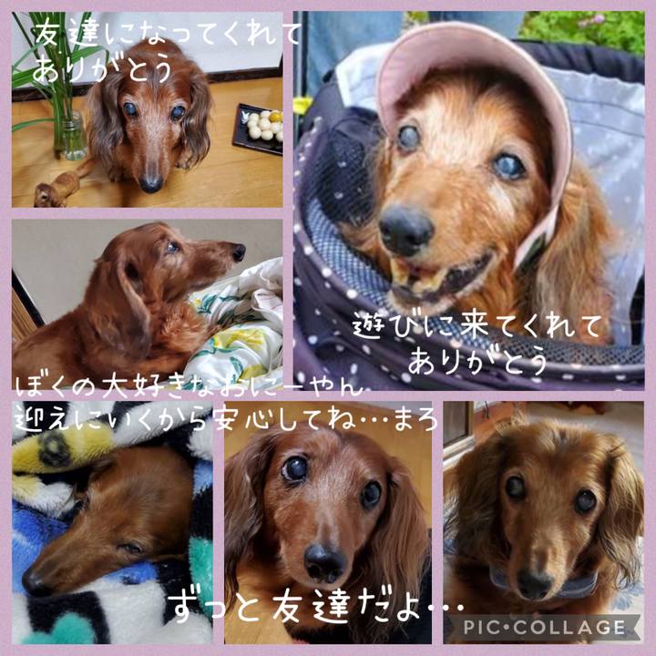 1b4ea0d4 4d14 4ff3 aa21 781e5cfa06f0 1747888679529