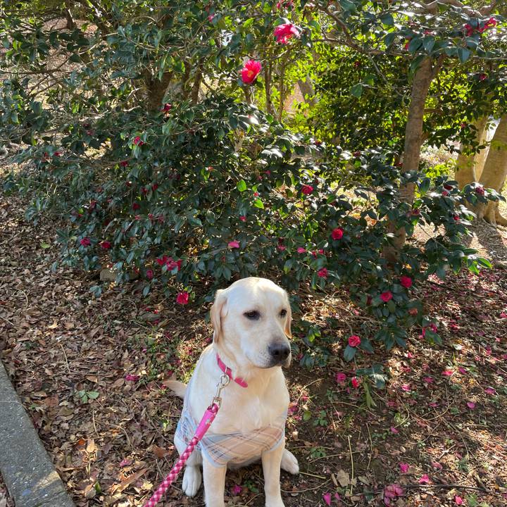 1b4ea941 d072 45bb 948e 88e30c272f49 1643377753395