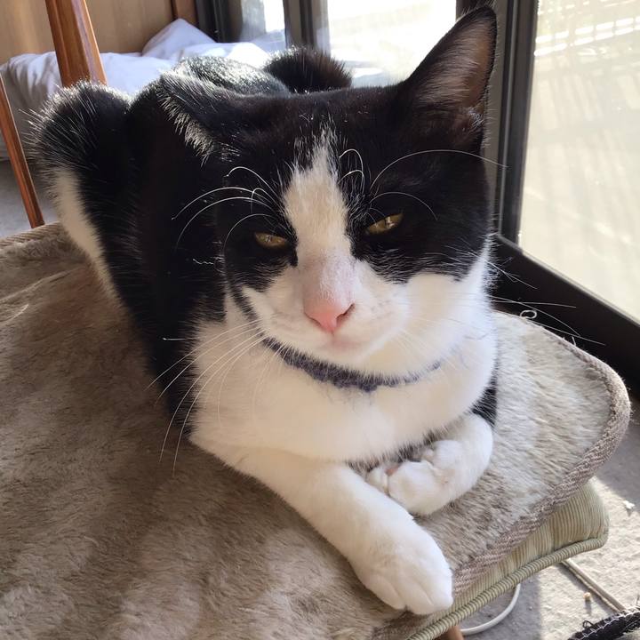 1b4f2dee 4fa3 4af0 a57f c515a7166286 1667093268523