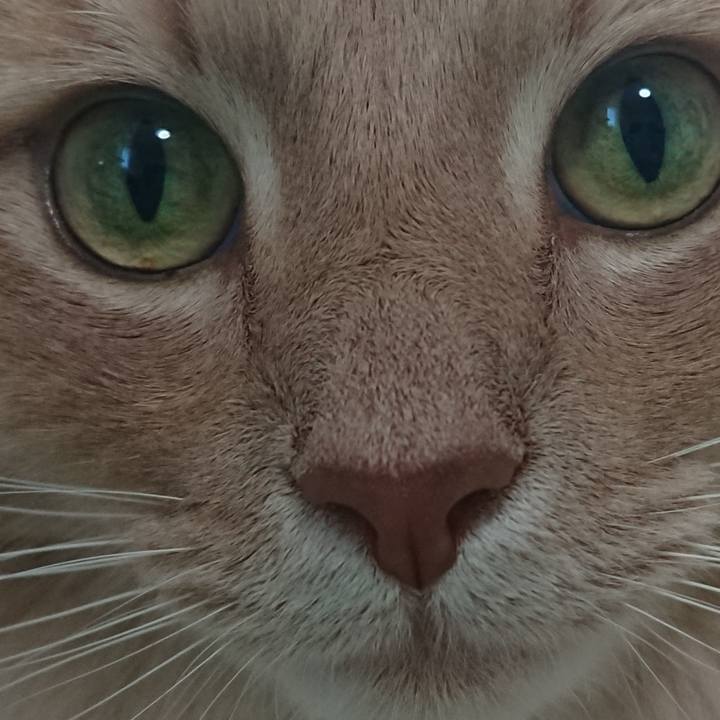 1b4f4209 4c1b 4af5 82e0 850195a2ee2b 1560656649109