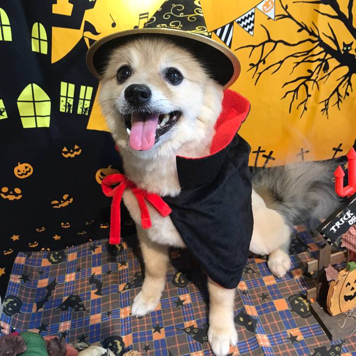 1b4f5226 5857 46a8 a35b 410002f7e708 1604379260157