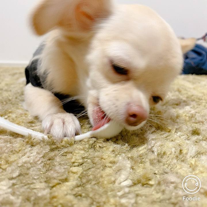 1b4f585d 4f95 4594 9590 6b622d6def94 1603186651697