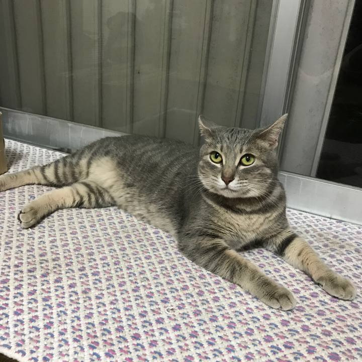 1b4f6d95 c1d0 49cb 9c0f e5e52bd4bf0c 1565702600592