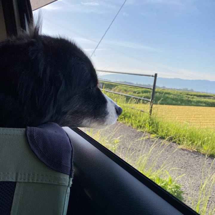 1b4f77b4 4dc4 4c75 8d87 db7aeff76c81 1683583596994