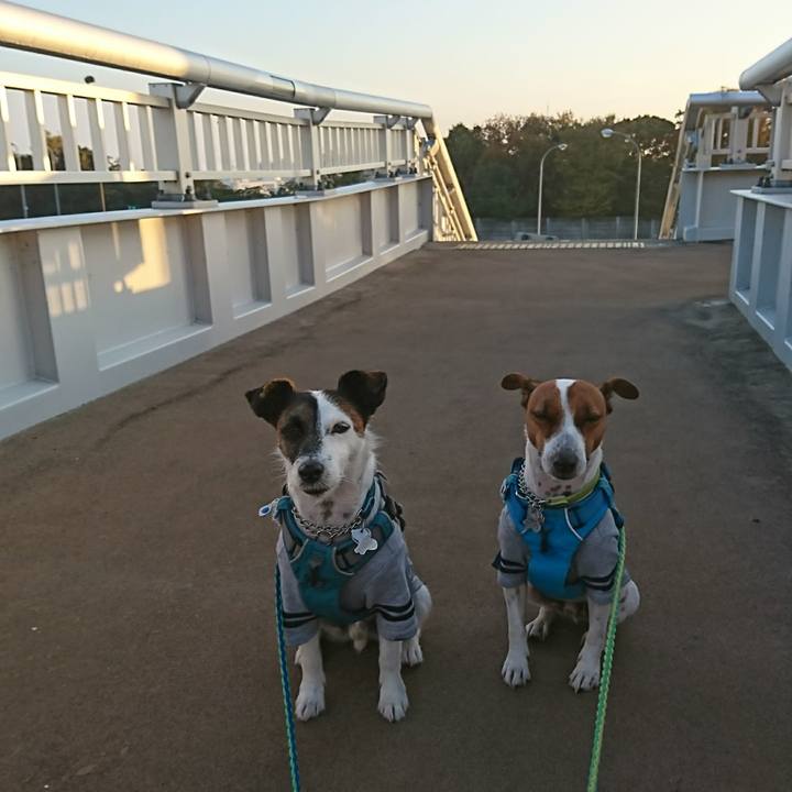 1b4f9177 a0d3 44c7 9009 2a1644f8cd36 1605737127792