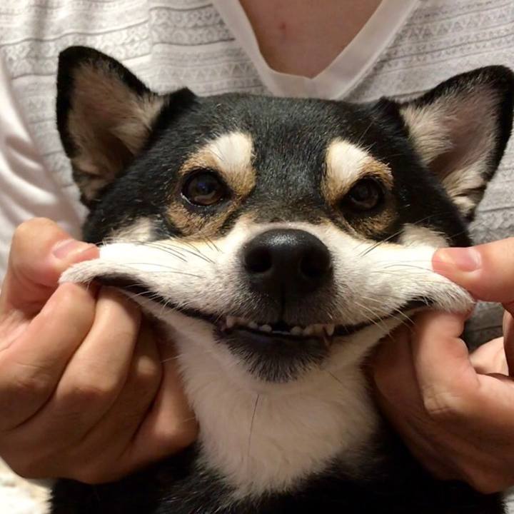 1b4fa69a 3244 4f6d 8e27 74b33dbd0be6 1511003465489