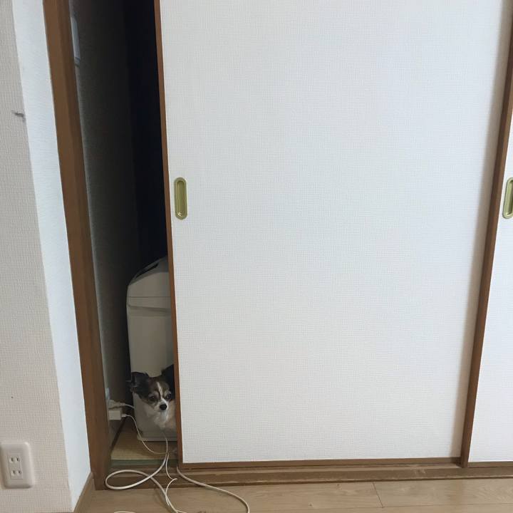 1b4fcc3d ae96 4f80 b2b8 66a771be86b3 1550840455260